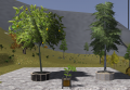 Planters Trees and Bushes.png